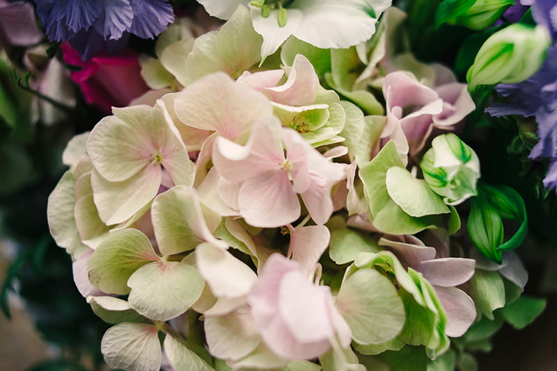 Brussels Wedding Photographer | Gatsby inspired engagement shoot in Brugge 2 Gatsby-Shoot-(7)