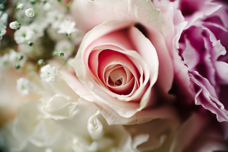 PRINT-Marit-&-Espen-(21)