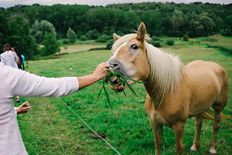 Boho Picninc Wedding in Rixensart: Roxane & Pierre 92 WEB Roxane-&-Pierre-(339)