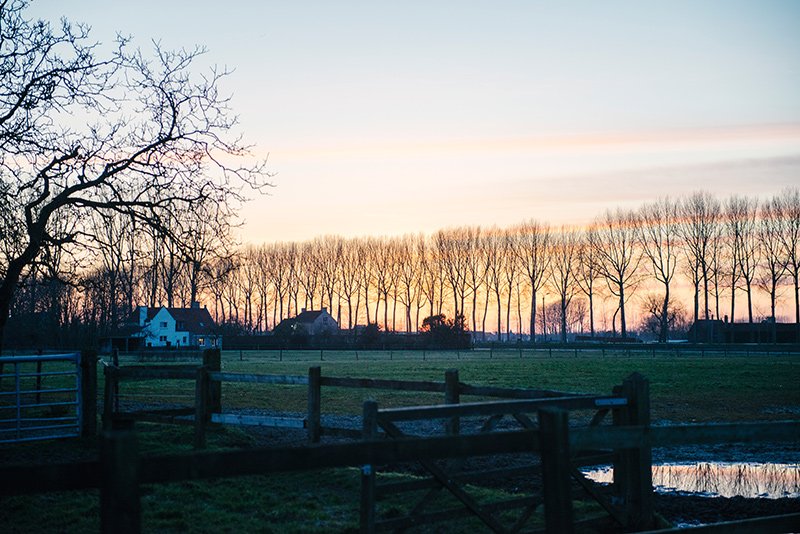 Jannetien & Korneel - Natural Wedding in Brugge 125 Jannetien-&-Korneel-2015-524