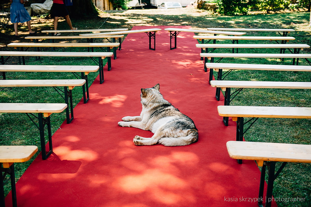 Kasia-Bacq-Destination-Wedding-France-Day-2---Karel-&-Frederik-013